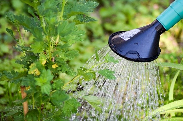 I vari tipi di impianto di irrigazione giardino