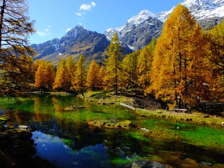 L'Italia è un paese meraviglioso che ha molto da offrire a livello turistico sia da un punto di vista archittettonico, che da un punto di vista paesaggistico. Ci sono infatti dei luoghi che sembrano usciti da fantastiche cartoline, posti che tolgono il fiato per la bellezza che esprimono. Tra questi sicuramente i laghi alpini riempiono di gioia e di meraviglia gli occhi di chi osserva. Sembra di trovarsi di fronte a qualcosa di incontaminato dove cielo e terra si rispecchiano, l'aria è purissima e tutto viene abbracciato da un silenzio ristoratore per lo spirito. I laghi alpini si suddividono in due tipologie: Artificiali Naturali Andiamo a scoprire insieme quali sono quelli da vedere assolutamente! Laghi alpini: lago del Brocan - Cuneo Il lago del Brocan è un lago alpino di origine naturale situato in provincia di Cuneo nel versante delle Alpi Marittime. Precisamente è ubicato nel vallone della Rovina a valle rispetto l'altura dell'Argentera che misura ben 3297 metri. La cornice fantastica che fa da sfondo è costituita dalle Alpi Marittime: un paesaggio incantevole animato da stambecchi, camosci, marmotte e aquile. Per arrivare al lago alpino c'è un percorso da un vecchio sentiero che serve la vicina diga: la percorrenza è circa di due ore. Laghi alpini: lago del Miage - Aosta Il lago del Miage è davvero unico nel suo genere, in quanto non è contornato da rocce e foreste, ma dai ghiacci: uno spettacolo sublime. Le pareti cristalline si devono alla vicinanza con il ghiacciaio Miage che arriva giù dalle sommità del Monte Bianco. Per giungere a contemplare questa rara perla c'è il sentiero che attraversa la Val Veny fino a La Visaille, per poi proseguire verso il lago Combal: una traversata di circa 2 km. Laghi alpini: lago di Place-Moulin - Aosta Restando sempre in Valle d'Aosta troviamo il lago alpino di Place Moulin di origine artificiale. Si trova molto in alto, a ben 1968 metri di altezza, e si può considerare come uno dei più grandi della regione. La partenza per arrivare a vederlo è da Prarayer dove si trova un confortevole rifugio. Laghi alpini: lago Layet - Aosta Un luogo che sembra incantato e fuori dal tempo: bisognerebbe descrivere così il lago Layet. La sfida per arrivare lungo i suoi argini non è particolarmente impegnativa e basta percorrere un cammino che unice Valtournenche a Breuil-Cervinia. Nelle acque calme di questo lago alpino si affaccia il maestoso Cervino. Laghi alpini: laghi di Fraele - Sondrio I laghi di Fraele non possono non essere inseriti in questa lista dei laghi alpini più belli. Si tratta di due laghi: Cancano e San Giacomo. Il primo si trova a 1900 metri sul livello del mare, mentre il secondo a 1949 metri. L'atmosfera che si respira al cospetto degli specchi d'acqua è da fiaba, poichè sono circondati da prati di un verde intenso che arrivano a toccarli fino lungo le rive. Anche il sentiero è suggestivo ed è uno di quelli più antichi tra quelli che collegano i due versanti delle Alpi: si passa per Premadio attraversando le rovine di antiche torri medievali dove si appostavano le guardie. Laghi alpini: lago del Barbellino - Bergamo Per trovare il lago del Barbellino in provincia di Bergamo occorre spostarsi nelle Alpi Orobie, nella zona meglio nota come Val Seriana. Il lago alpino è di uno splendido colore smeraldo e si incontra a ben 1862 metri di altezza. Per arrivarci basta percorrere la mulattiera e godere del panorama stupendo mentre si attraversano foreste di abeti e faggi: un percorso di circa 2 ore dove respirare nell'abbraccio di una natura generosa. Ci sono tantissimi altri laghi altrettanto meritevoli di una visita almeno una volta nella vita e questa guida non voleva essere esaustiva in così poche righe, ma semplicemente farvi riscoprire la ricchezza del nostro territorio.