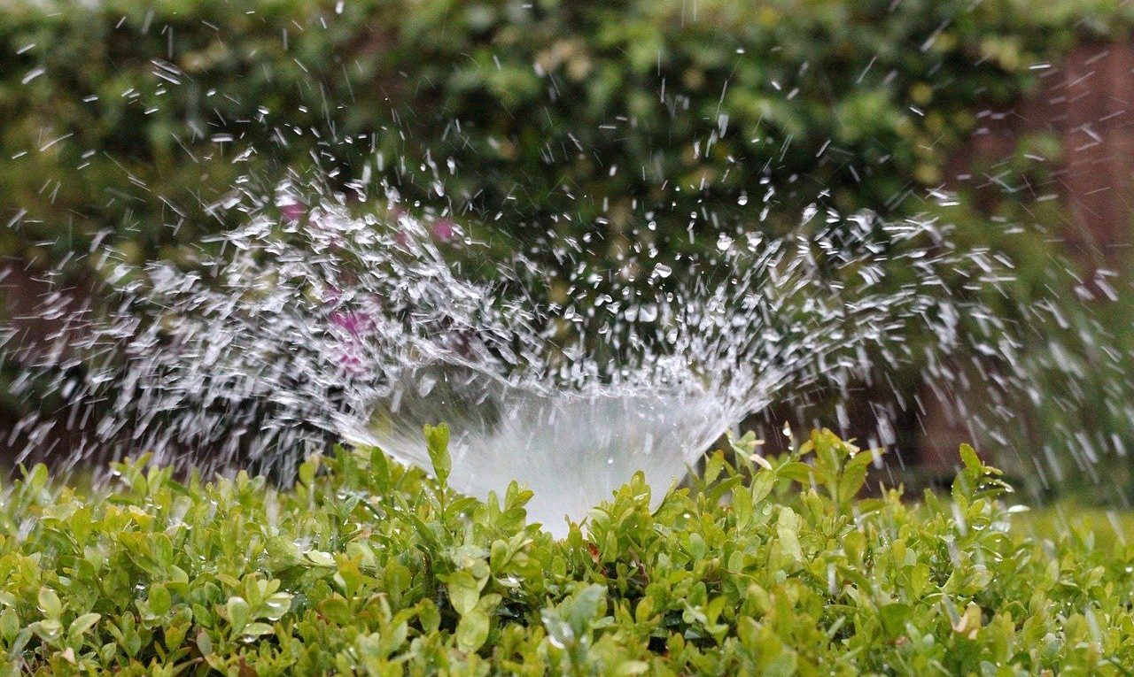 Irrigazioni da giardino, qual è la più adatta