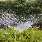 Irrigazioni da giardino, qual è la più adatta