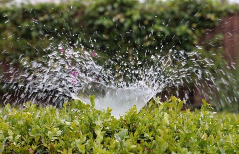 Irrigazioni da giardino, qual è la più adatta?