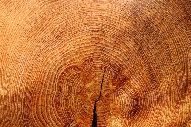 Produzione lame a nastro per legno: tutto ciò che c’è da sapere