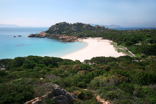 Spiaggia Rosa di Budelli, un piccolo angolo rosa di paradiso