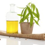 Conosciamo meglio l'olio di cannabis o cbd