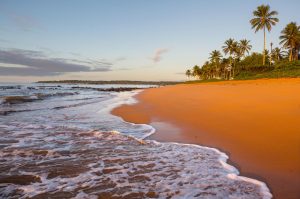 Un agente di commercio in Costa Rica: Un paradiso caraibico con opportunità dicrescita uniche