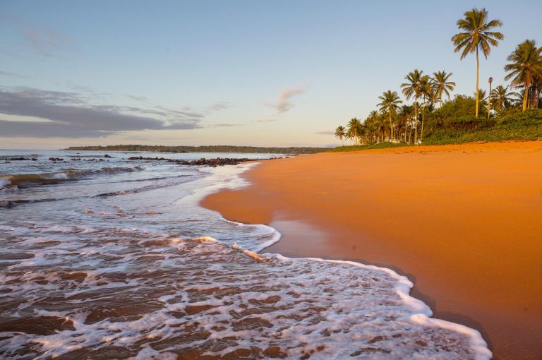 Un agente di commercio in Costa Rica: Un paradiso caraibico con opportunità dicrescita uniche