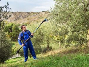 Come scegliere un abbacchiatore per olive: tutto ciò che devi sapere e valutare