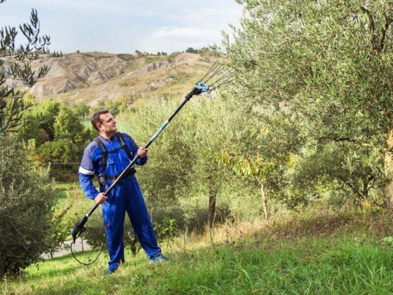 Come scegliere un abbacchiatore per olive: tutto ciò che devi sapere e valutare
