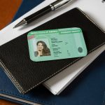 Quanto dura la carta verde per l’America?